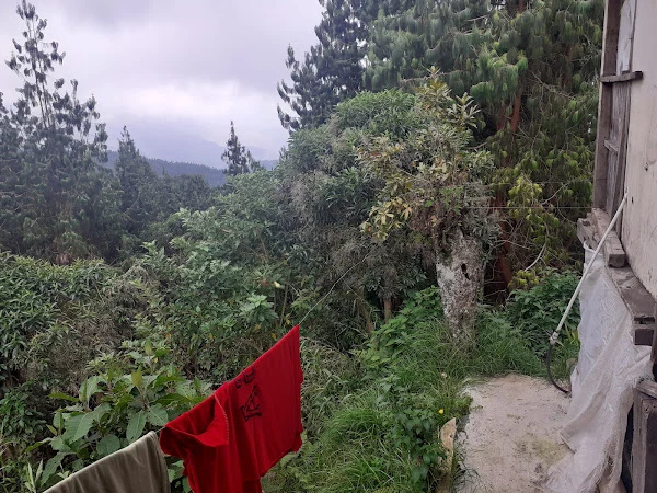 El Mirador Montallantas