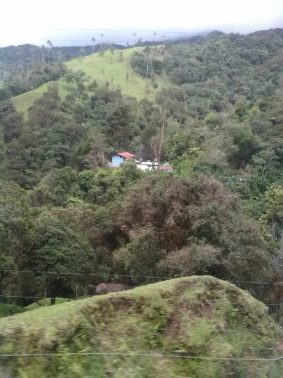 Montallantas 24 Horas La Palmita