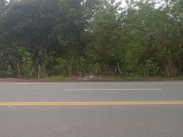 Montallantas Corozal
