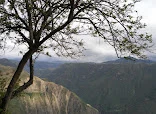 Montallantas Parada De Camiones