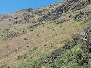 Montallantas Pedregal
