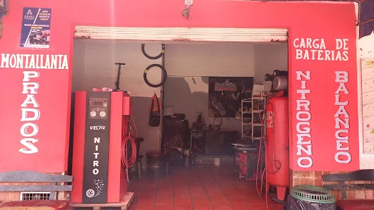 Montallantas prados Norte