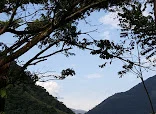 Montallantas Yañez